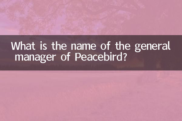 Quel est le nom du directeur général de Peacebird ?