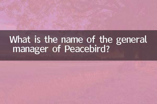 Quel est le nom du directeur général de Peacebird ?