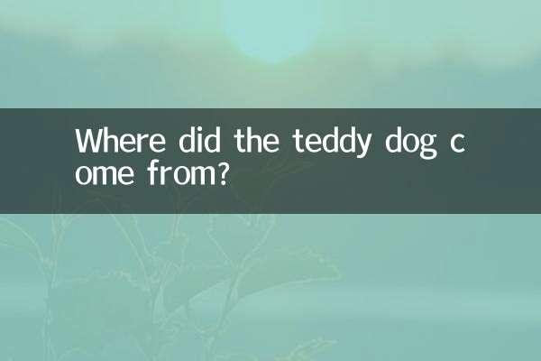 ¿De dónde vino el perro de peluche?