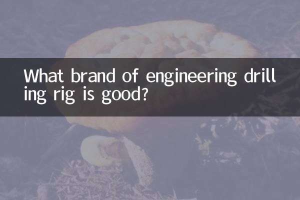 What brand of engineering drilling rig is good?