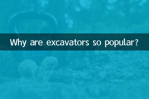 굴착기가 왜 그렇게 인기가 있습니까?