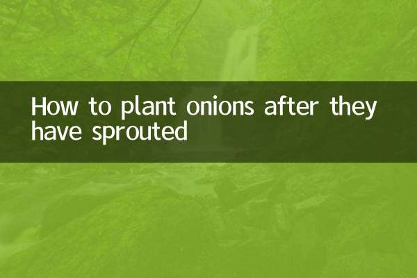 Cómo plantar cebollas después de que hayan brotado