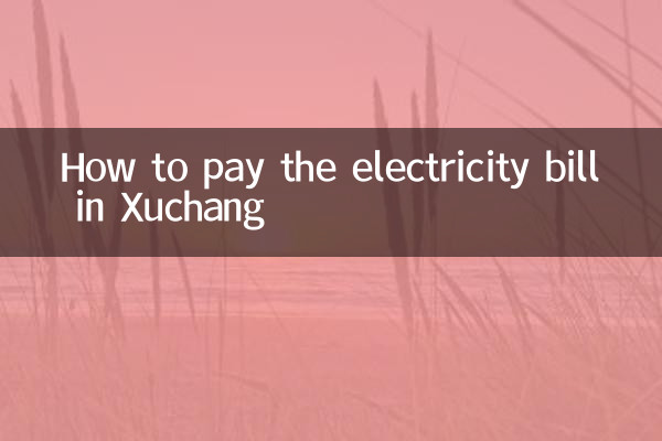 Como pagar a conta de luz em Xuchang