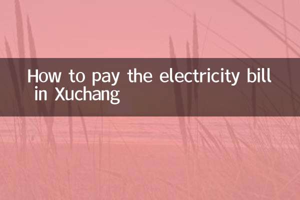 Cómo pagar la factura de la luz en Xuchang