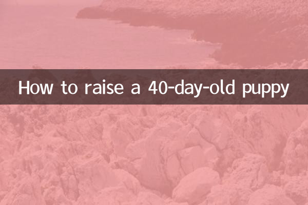 40 دن کے کتے کو کیسے پالیں