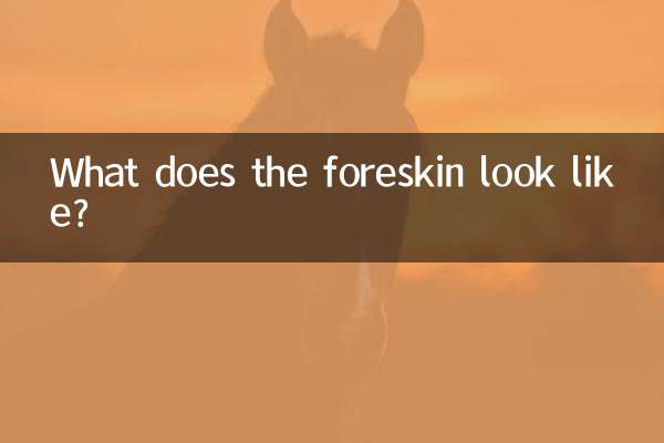 چمڑی کی طرح نظر آتی ہے؟