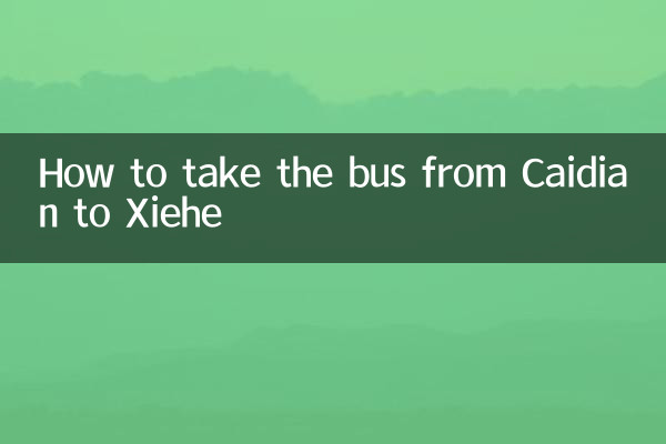 蔡甸から謝河までのバスの乗り方