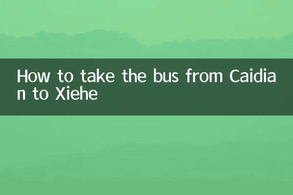 蔡甸から謝河までのバスの乗り方