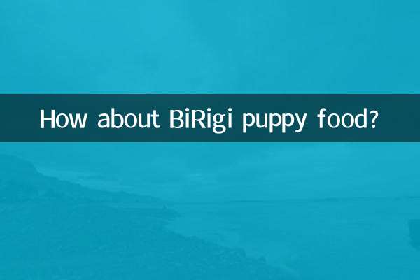 ¿Qué tal la comida para cachorros BiRigi?
