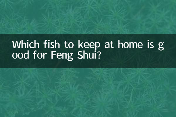 家で飼うのに風水に良い魚はどれ?