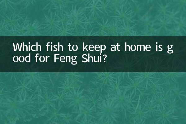 Which fish to keep at home is good for Feng Shui?