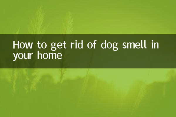 Cómo eliminar el olor a perro en tu casa
