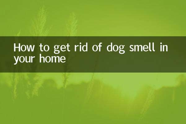 Cómo eliminar el olor a perro en tu casa