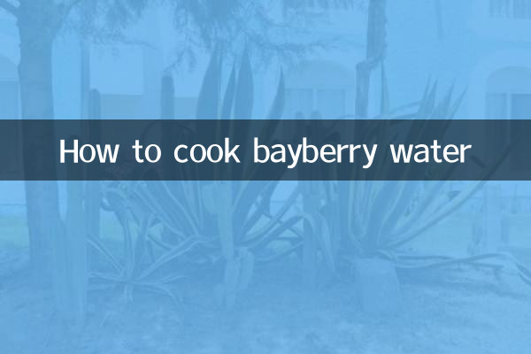 Cómo cocinar agua de arándano