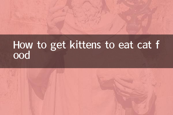 Wie man Kätzchen dazu bringt, Katzenfutter zu fressen