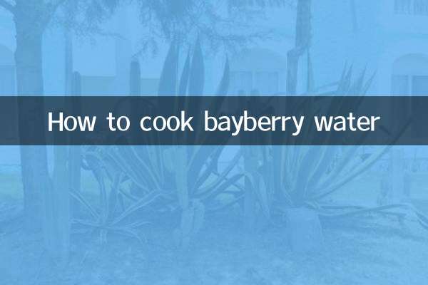 Cómo cocinar agua de arándano