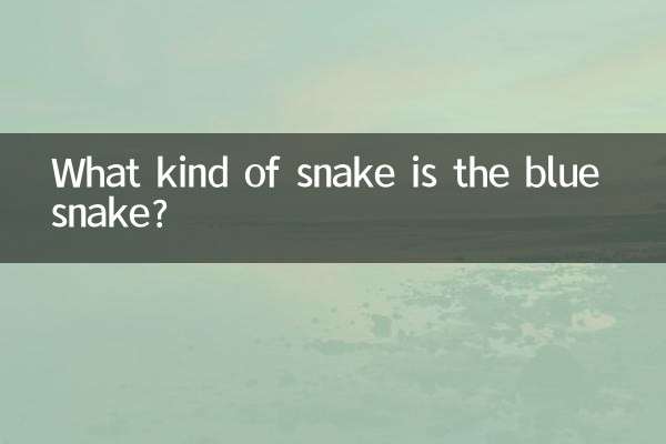 What kind of snake is the blue snake?