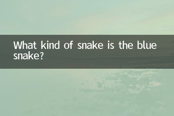 What kind of snake is the blue snake?