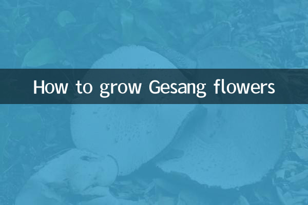 How to grow Gesang flowers
