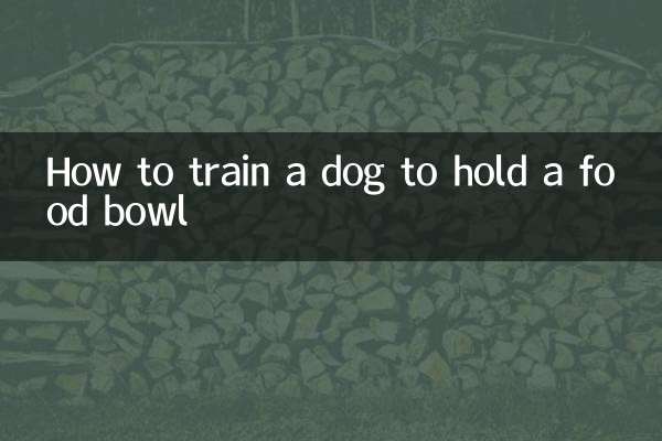 Come addestrare un cane a tenere in mano la ciotola del cibo