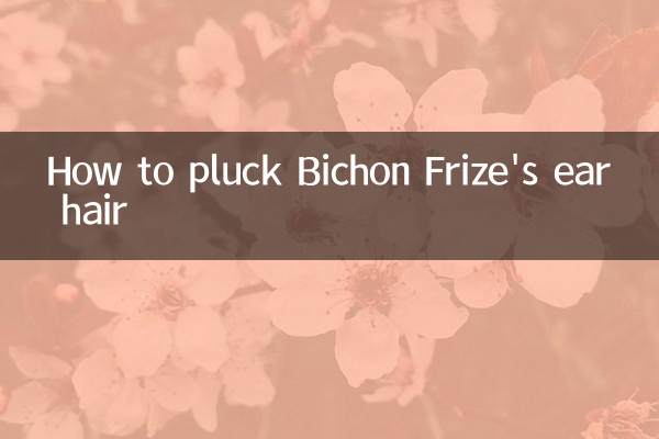 How to pluck Bichon Frize's ear hair