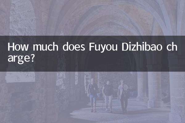 How much does Fuyou Dizhibao charge?