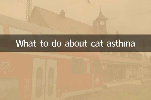 बिल्ली के अस्थमा के बारे में क्या करें?