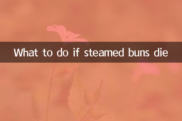 ¿Qué hacer si mueren los bollos al vapor?