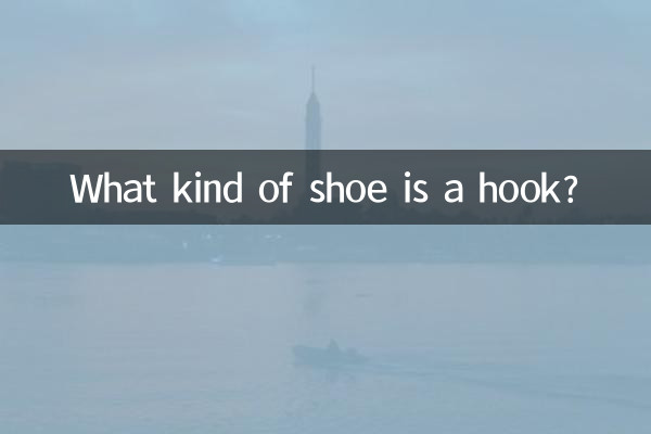 후크는 어떤 신발인가요?