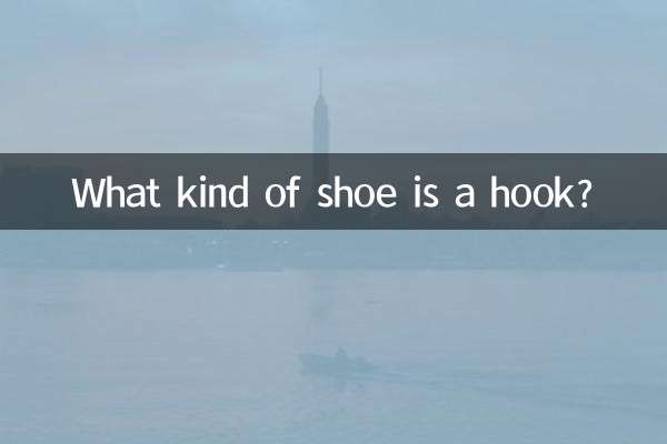 후크는 어떤 신발인가요?