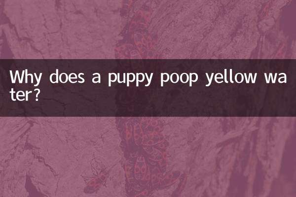 강아지가 누렇게 변한 물을 흘리는 이유는 무엇인가요?