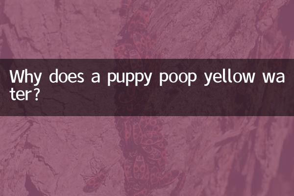 강아지가 누렇게 변한 물을 흘리는 이유는 무엇인가요?