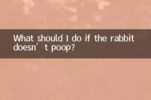 O que devo fazer se o coelho não fizer cocô?