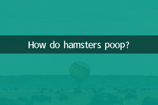 小倉鼠怎麼拉屎