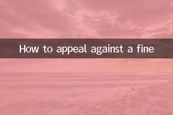 So können Sie gegen ein Bußgeld Berufung einlegen