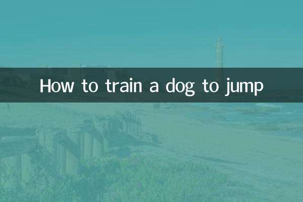 کتے کو چھلانگ لگانے کے لئے کس طرح تربیت دیں