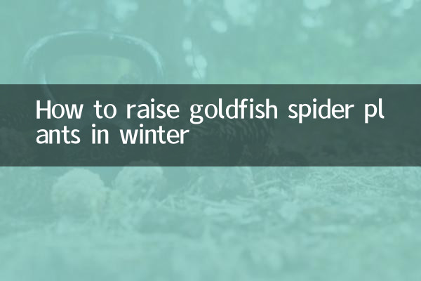 Como criar plantas-aranha peixinho dourado no inverno