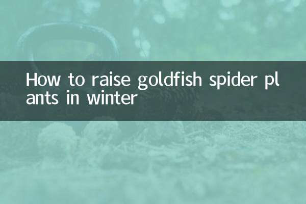 Como criar plantas-aranha peixinho dourado no inverno