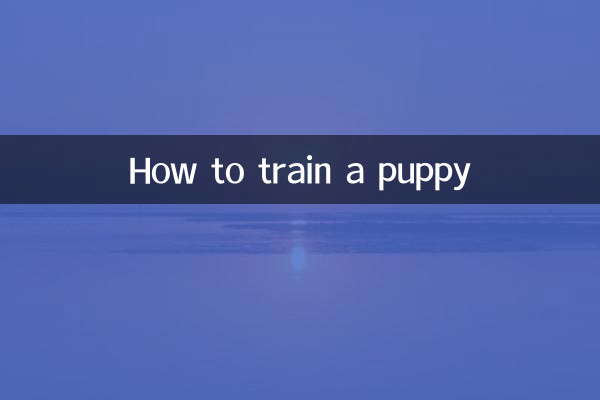 강아지를 훈련시키는 방법