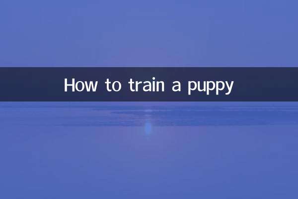 কিভাবে একটি কুকুরছানা প্রশিক্ষণ