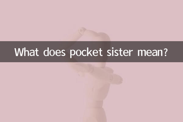 ポケットシスターってどういう意味ですか？