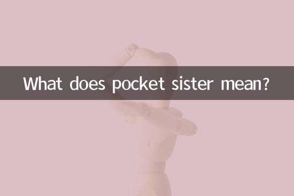 O que significa irmã de bolso?