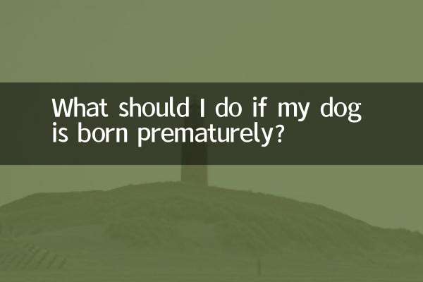 What should I do if my dog is born prematurely?