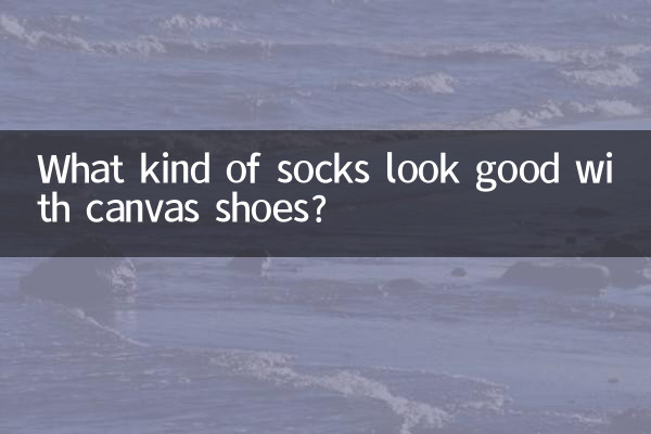 キャンバスシューズにはどんな靴下が似合うのでしょうか？