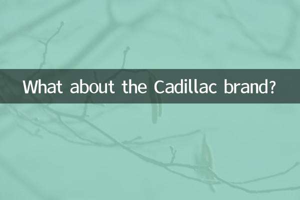 ماذا عن ماركة كاديلاك؟