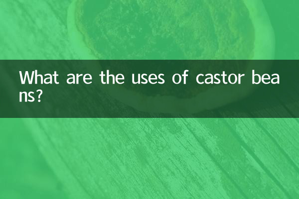 蓖麻子有什么用