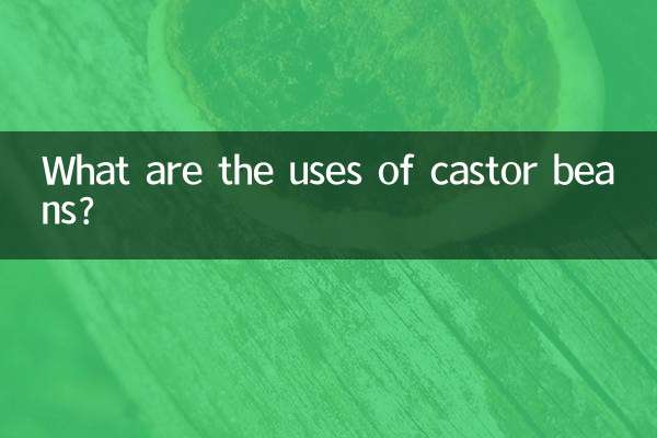 蓖麻子有什么用