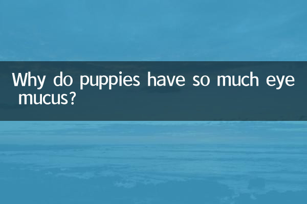 幼犬眼屎多是怎么回事