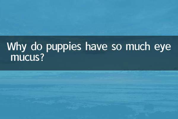 Почему у щенков так много слизи из глаз?
