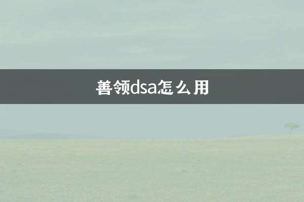 शैनलिंग डीएसए का उपयोग कैसे करें